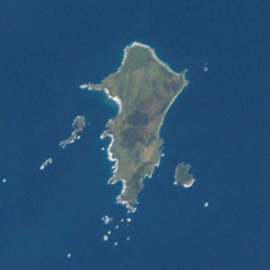 Pitt Island