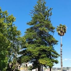 Jardim Público de Paço de Arcos
