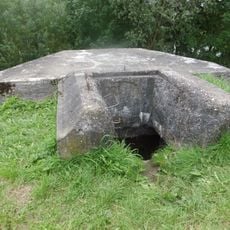 Gedeelte van de linie ochten- de spees