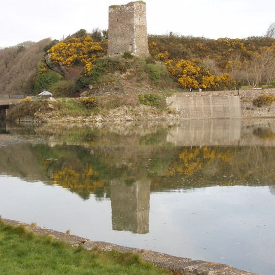 Ferrycarrig Castle