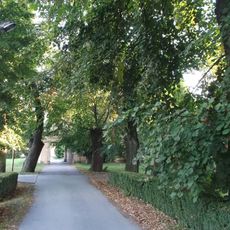 Kaštieľ Motešických, aleja