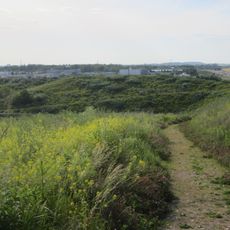 Paunsdorfer Wäldchen - Heiterblick