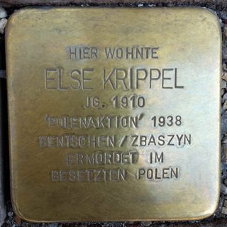 Stolperstein dedicated to Else Krippel