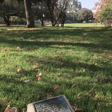 Camino of Rancho San Antonio