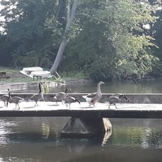 Trout Pond Park