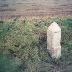 Milestone At Sw706479