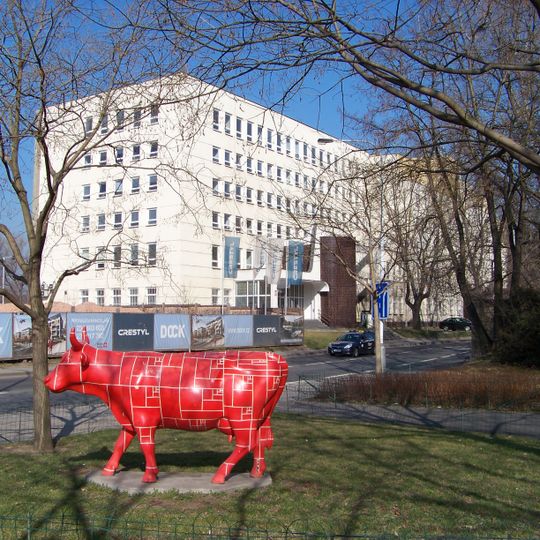 Růža Červená, mladší