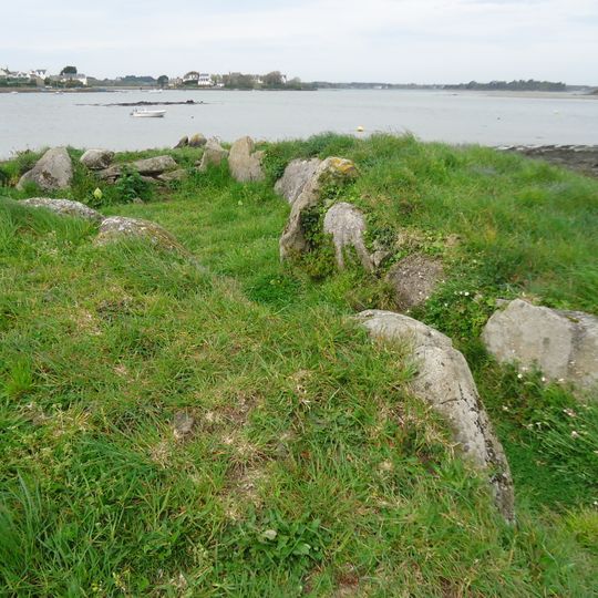 Dolmen du Moulin des Oies