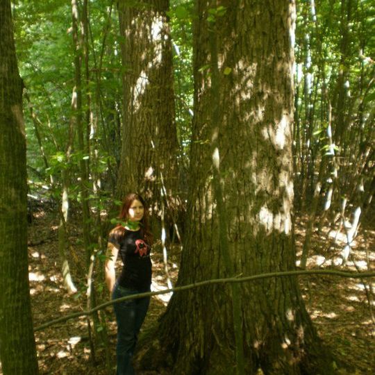 Tsezarivskyi Reserve