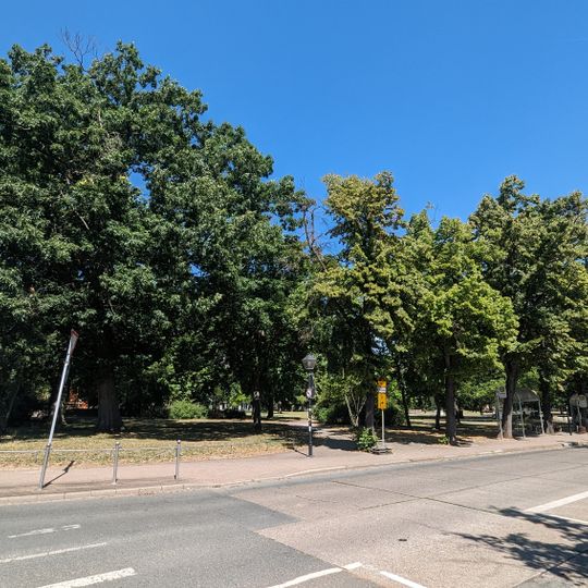 Platzanlage Alexander-Puschkin-Platz -