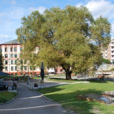 Kathe Lasniks plass, Oslo