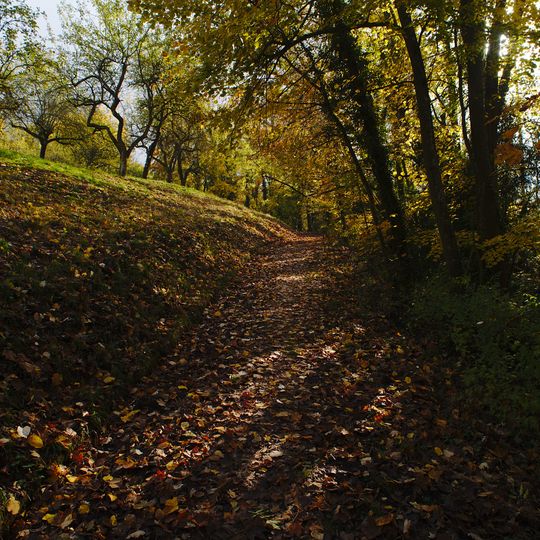 Gemeindewald Kleinblittersdorf