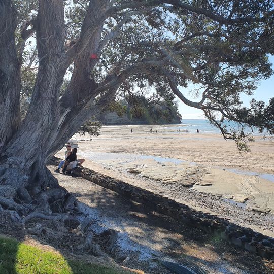 Waipaparoa / Howick Beach