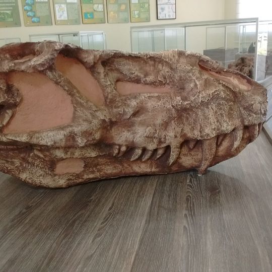 Museum Paleontologic and Archaeological Walter Ilha