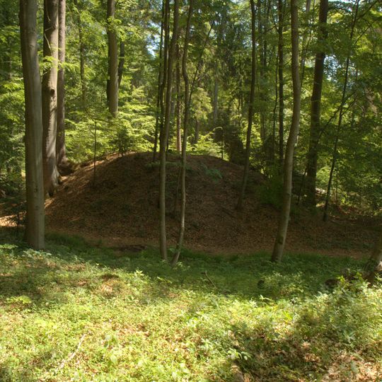 Burgstall Hohenbrunnen