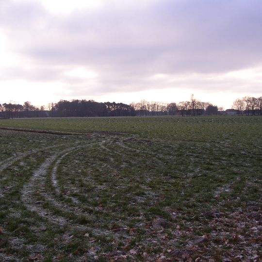 Feuchtwiesen Hörste