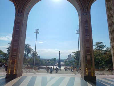 Вид 4