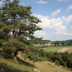 Juratrockenhang mit der Felsgruppe Zwölf Apostel