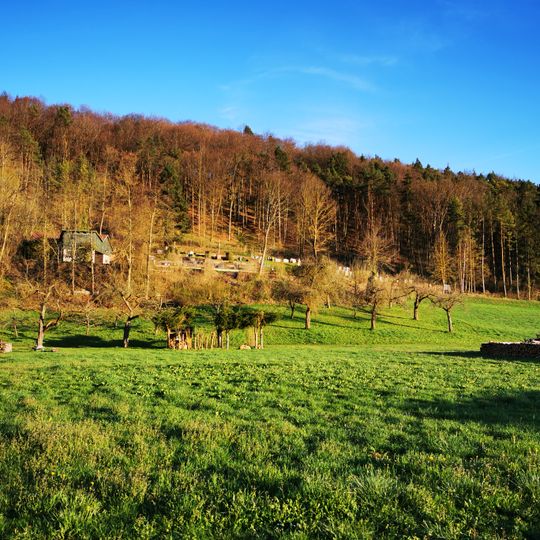 Friedhof Werbachhausen