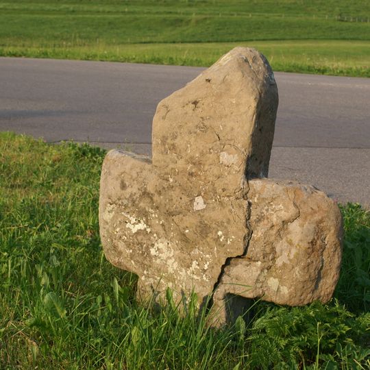 Wiedemen conciliation cross