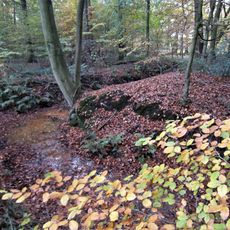 Burggraben und Wald bei Haus Brettberg