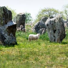 Carnac stones