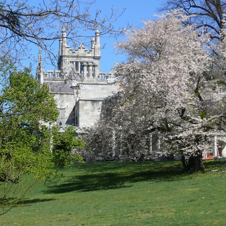 Lyndhurst Malikanesi