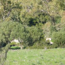 Molino Harinero Hidraúlico de la Pasá de Canto
