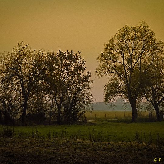 Aubinger Lohe und Moosschwaige mit Erweiterung