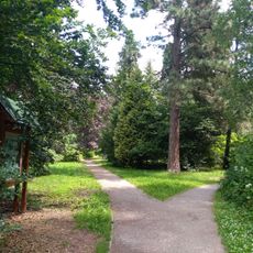 Arboretum Vysoké Chvojno