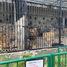 Tokuyama Zoo