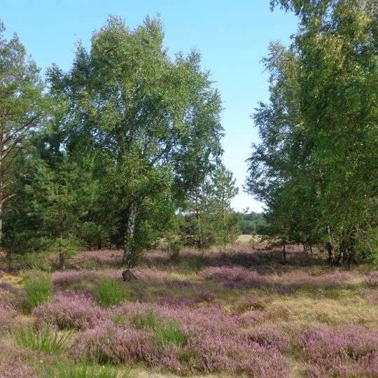 Naturschutzgebiet Marienfließ