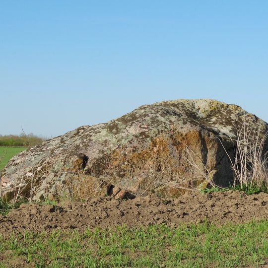 Gaidžiakalnio akmuo