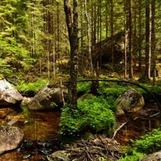 Lindalen naturreservat