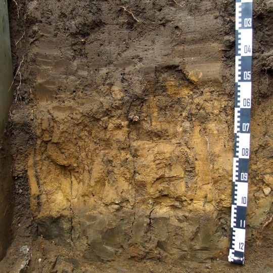 Schwarzerdeprofil Asel