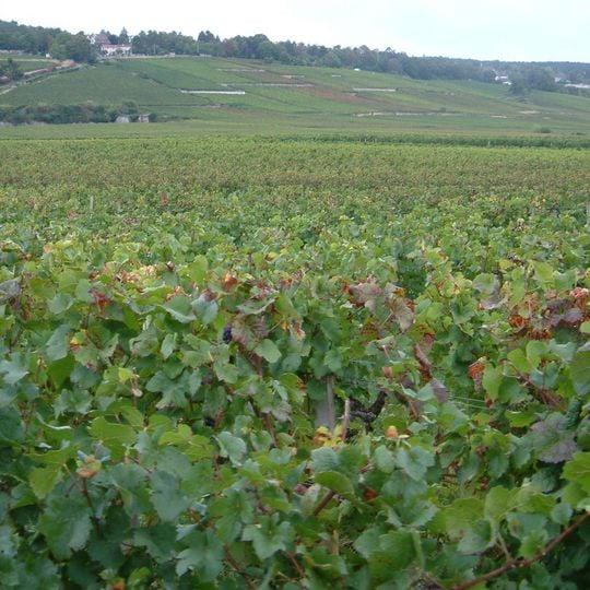 Climats de Borgonha