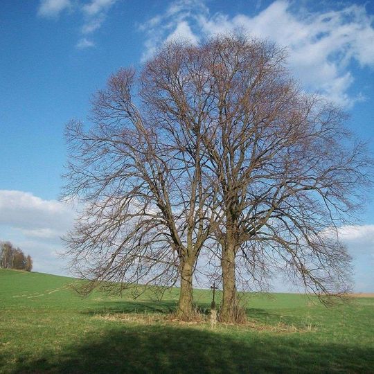 Kříž nad Vintířovem u rybníka