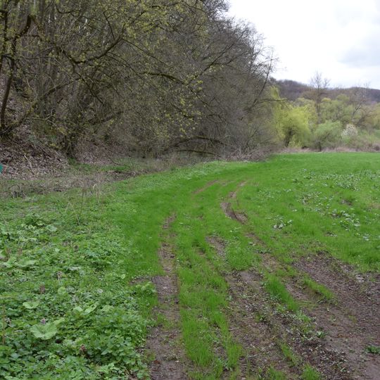 Gipskarstlandschaft Heimkehle