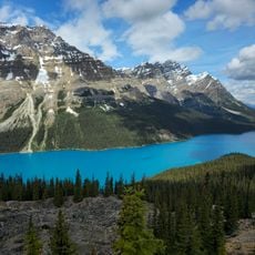 Peyto Lake View