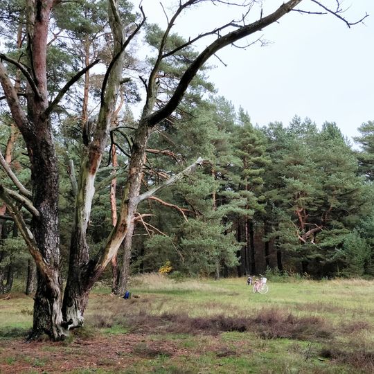 Lilla Köpinge naturreservat