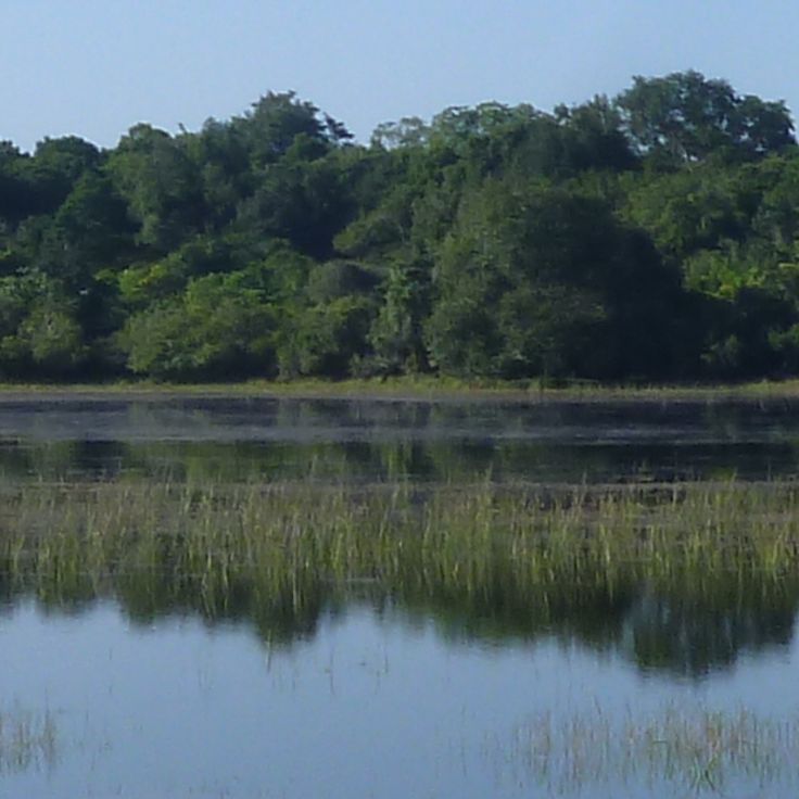Park Narodowy Udawalawe