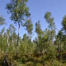 Barvenkove zoological preserve