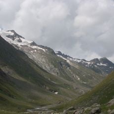 Virglkopf