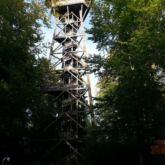Loorenkopf tower