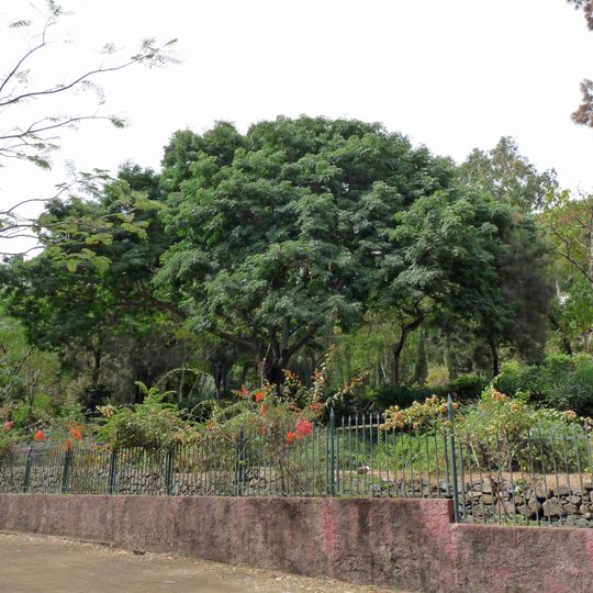 Contea di São Lourenço dos Órgãos