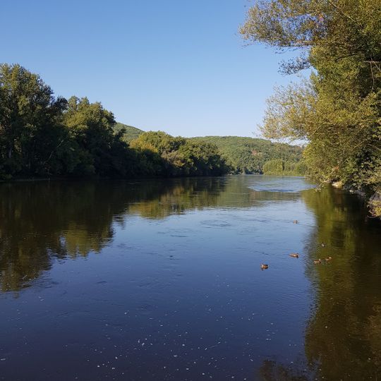 Fan Zone Acrobranche
