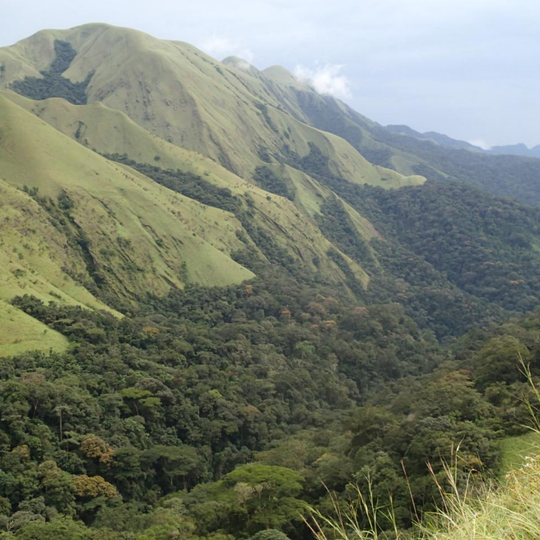 Parco nazionale della foresta di Gola