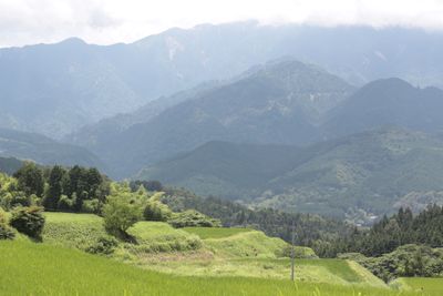 The view 9