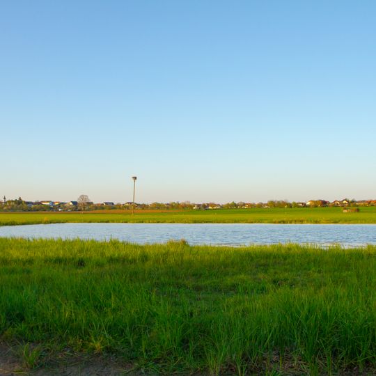 Buschwiesen von Höchst