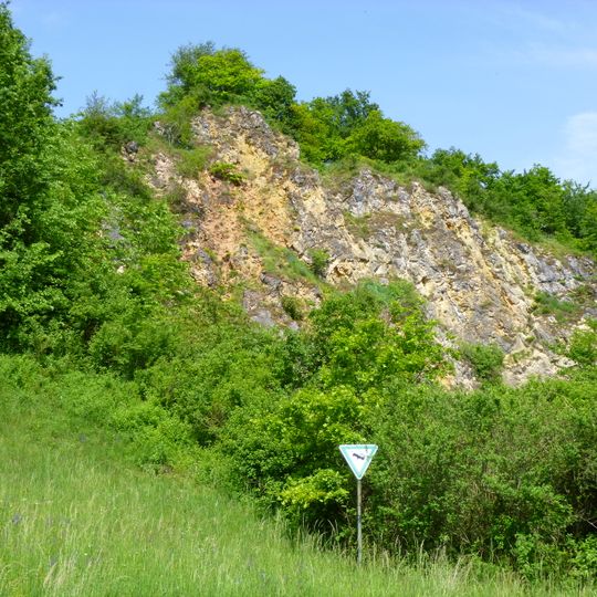Buch- und Helmberg bei Münster